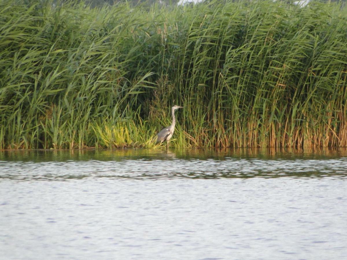 Zacisze Domki Letniskowe Karsibor Swinoujscie Luaran gambar