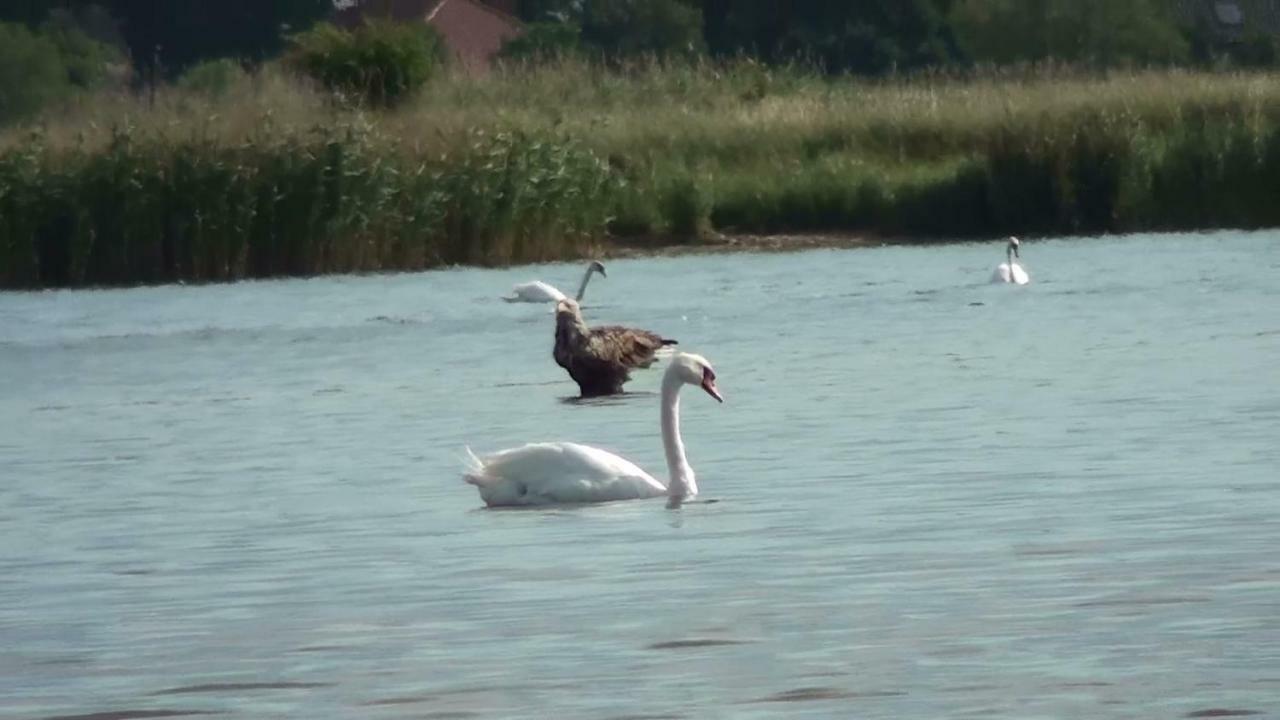 Zacisze Domki Letniskowe Karsibor Swinoujscie Luaran gambar